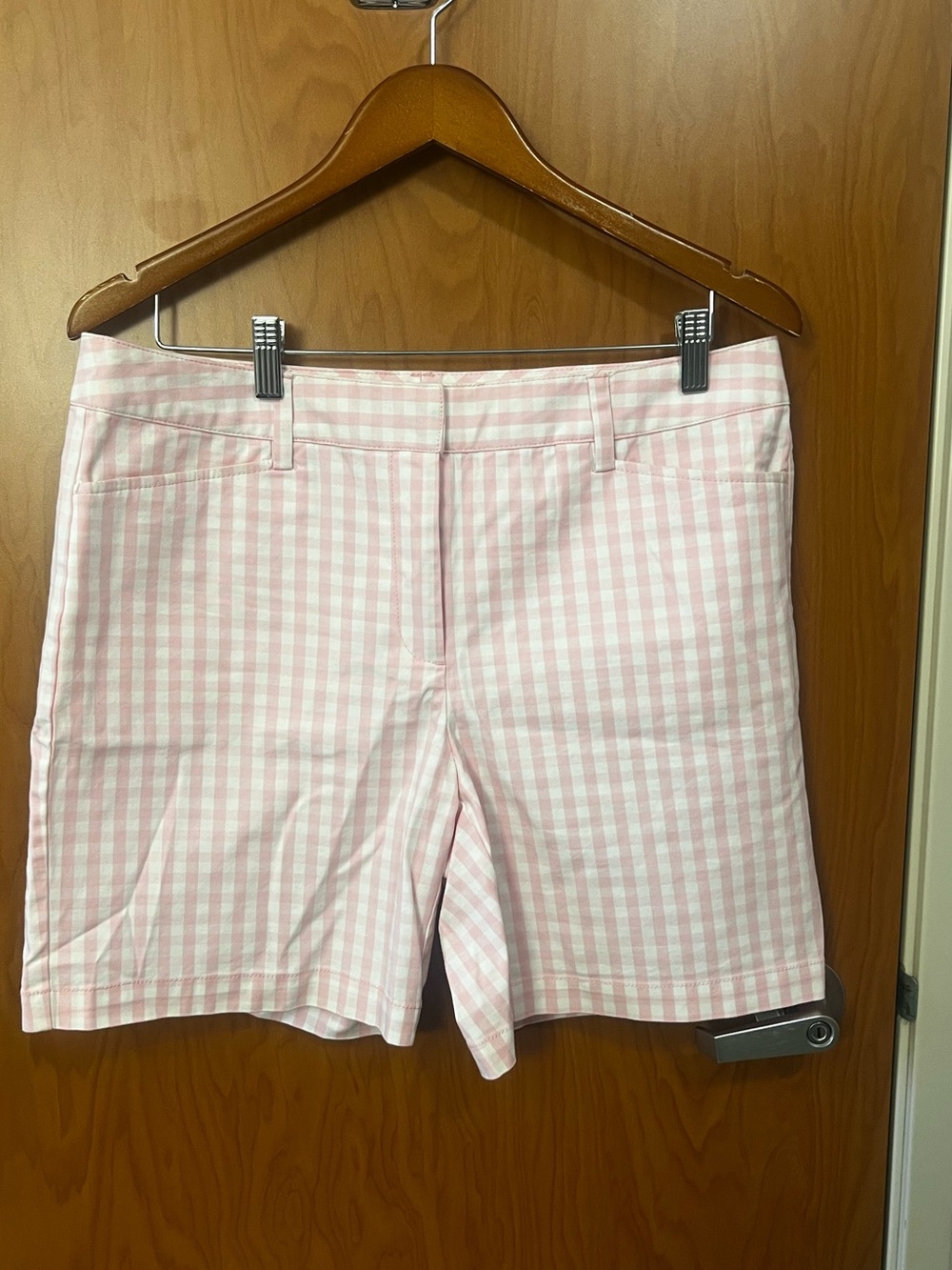 Pink Gingham Women’s Shorts